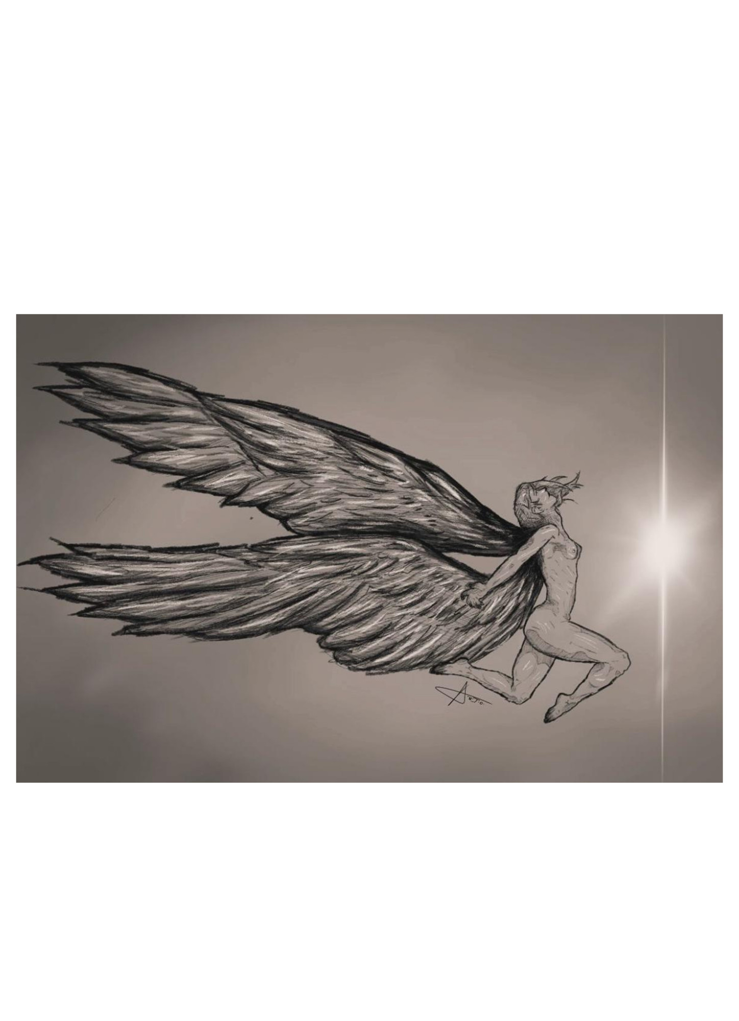 O anjo, obra integral de Paula Stipp Anjo